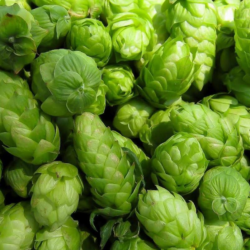 ZinkCraftDavid's profile picture. Craft Beer Associate at Zink Distributing Company