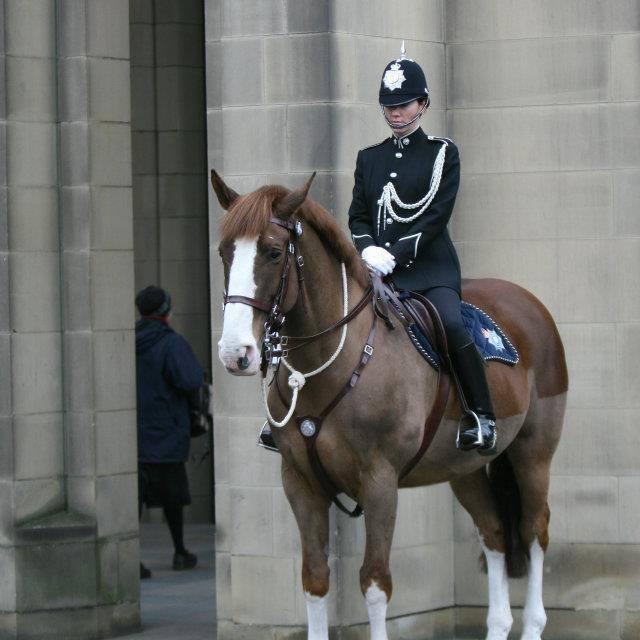 WPCKarenD's profile picture. 