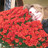 Batenkova's profile image
