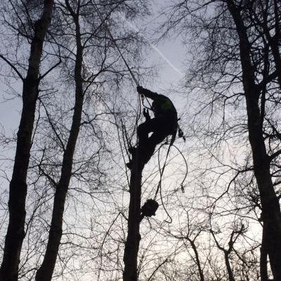 ArielTreeCare's profile picture. For professional tree surgeons in Bolton look no further than Ariel Tree Care. We have been in business since 1997 and are a well established family run busines