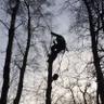 ArielTreeCare's profile picture. For professional tree surgeons in Bolton look no further than Ariel Tree Care. We have been in business since 1997 and are a well established family run busines