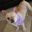 Lori Shore-Smith - @ACTBeTheirVoice - Twitter