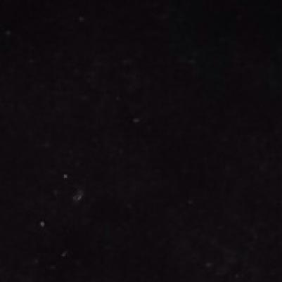 AliceDavy's profile picture. 