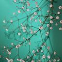 Vicky Knott - @KnottVk - Twitter