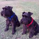 Ken Dwyer - @squizzy1196r - Twitter