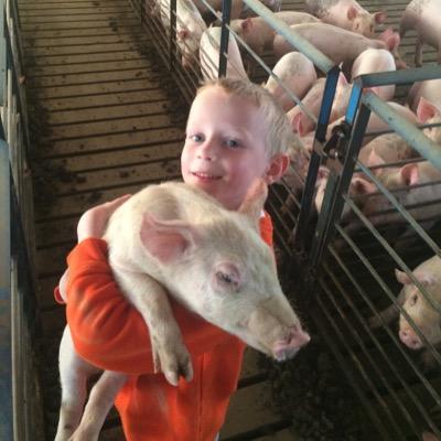 farming is all I know! the rest is made up!