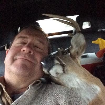 michaelselectr1's profile picture. 