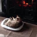 eve owens - @owense5911 - Twitter