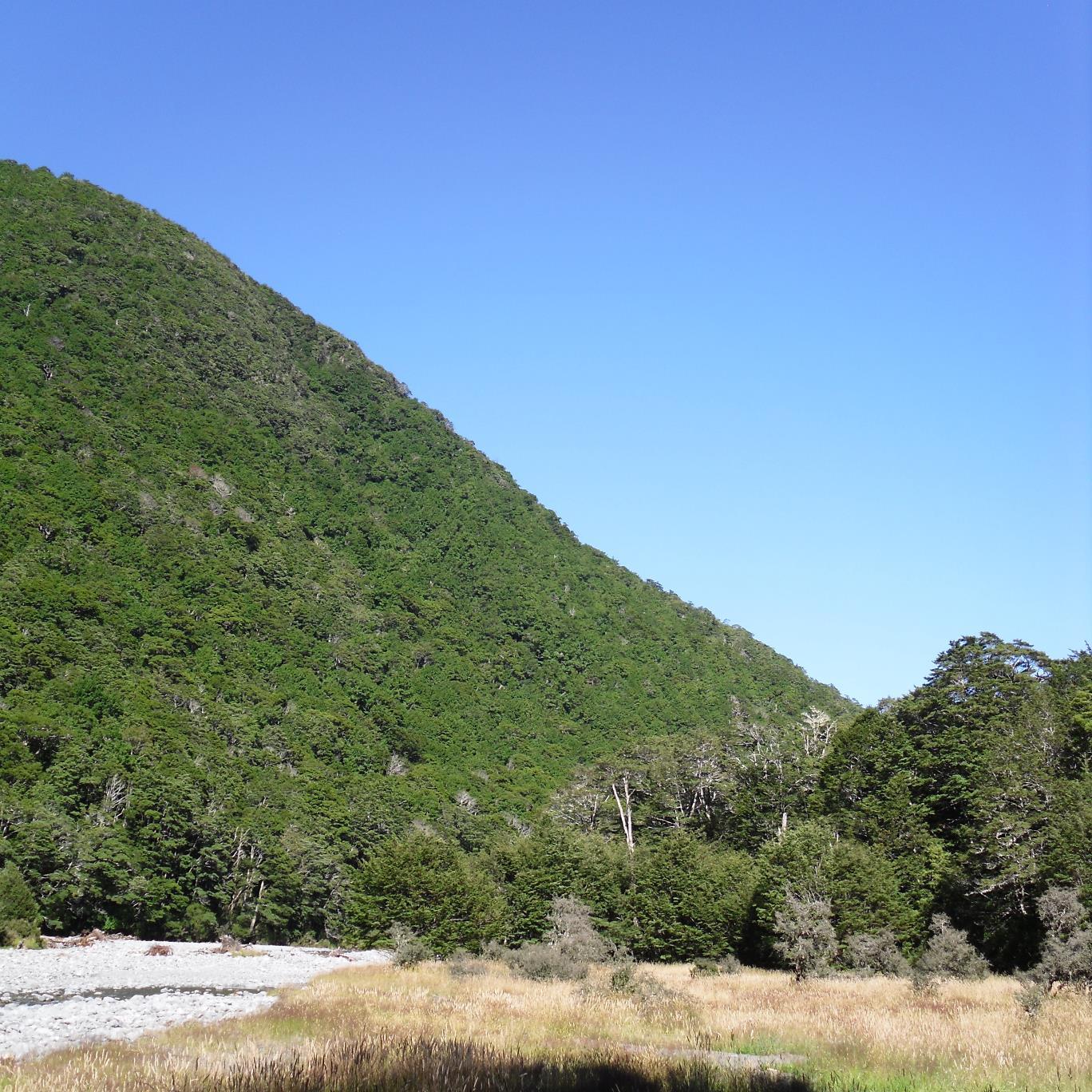 A group of ecologists @LincolnUniNZ (tweets our own). We research and teach in a wide range of fields in ecology.