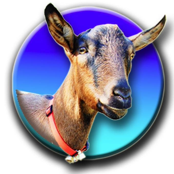 Outdoor Adventurer #hamradio #QRP enthusiast #SOTA DM79 #amsat 🛰️  Hikes with #packgoats Boo & Peanut #hamradio #cw #morsecode #sota #summitsontheair