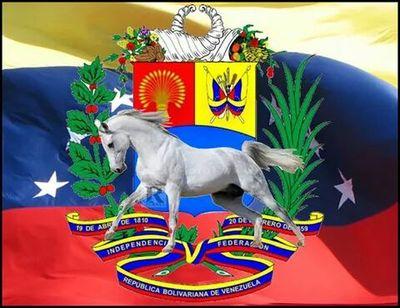 Paz y Amor Para mi Querida Venezuela