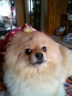 lastockd56's profile picture. 