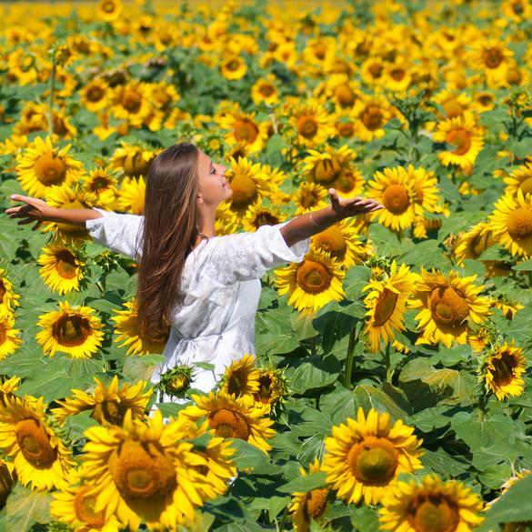 Carefree Naturals are 100% natural, chemical-free sunscreens that nourish the skin with all natural ingredients and essential oils.