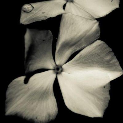 ‏‏‏‏‏.. رَبىّ أعنّي عَلى نفّسِي فَـ هِيَّ تُرِيدُ لِي التَهلُكَة ! وَ أنَّا أُريدُ لهَا الجنَّـة ..!