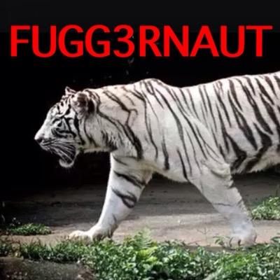 YouTuber Just Startin youtube name FUGG3RNAUT get at me for Minecraft Black Ops ll GTA 5 and other games.