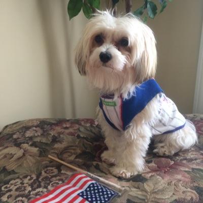 geniagoldston's profile picture. 