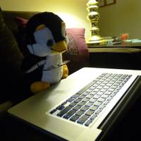 Will Ryu (@nlpenguin) 's Twitter Profile