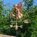 Moore Farm (@moorefarmherbs) Twitter profile photo