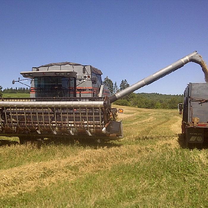 Cash crops and custom farming.