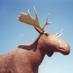 Mac The Moose (@moosejawmoose) Twitter profile photo Mac The Moose (@moosejawmoose) Twitter profile photo