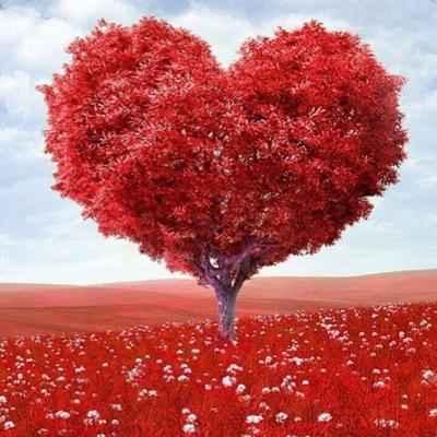 Pediatra enamorada de lo que hago y amante de la democracia y de la paz
