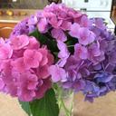 Caryn Scott-McKay - @clsmckay - Twitter