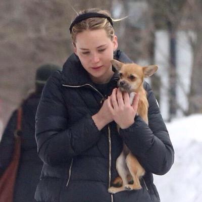 Jennifersdog's profile picture. Hello! My name is Pippi and im Jennifer Lawrence's dog. I love her to death and enjoy being held. Stay updated on my many adventures with my mommy!