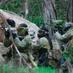 Velocity Paintball (@velocitypb) Twitter profile photo