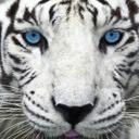 Kathleen Wright - @kajmom54_wright - Twitter