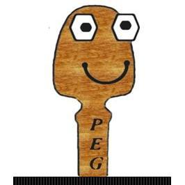 As PEG, I am the instrument tuning expert at StringQuest. Work closely with SCROLL, and add joy to all music learning.