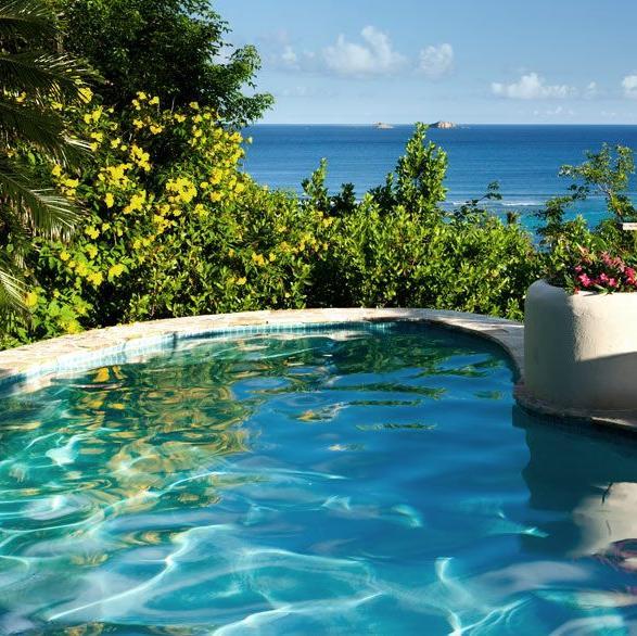 BrisPoolService's profile picture. Brisbane Pool Services provides a personal and professional pool cleaning service to North Brisbane! Need a clean pool? We can help! P: 1300 550 445