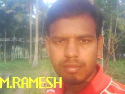 1b33c8c80a6040b's profile picture. 