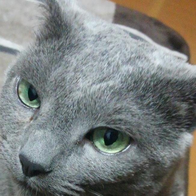 ソフトウェアとハードウェアの界面が大好きです。どのように連携しているのか日々勉強です。