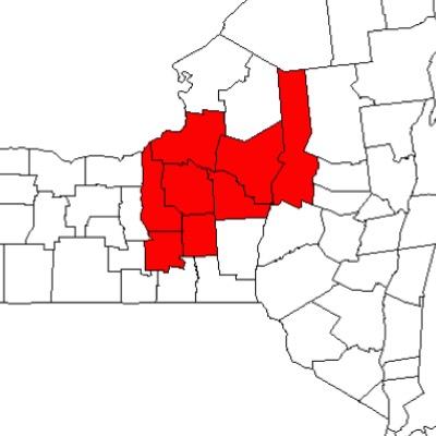 CnyTools's profile picture. Favorite any tweet to see if your a tool
(All just for laughs)