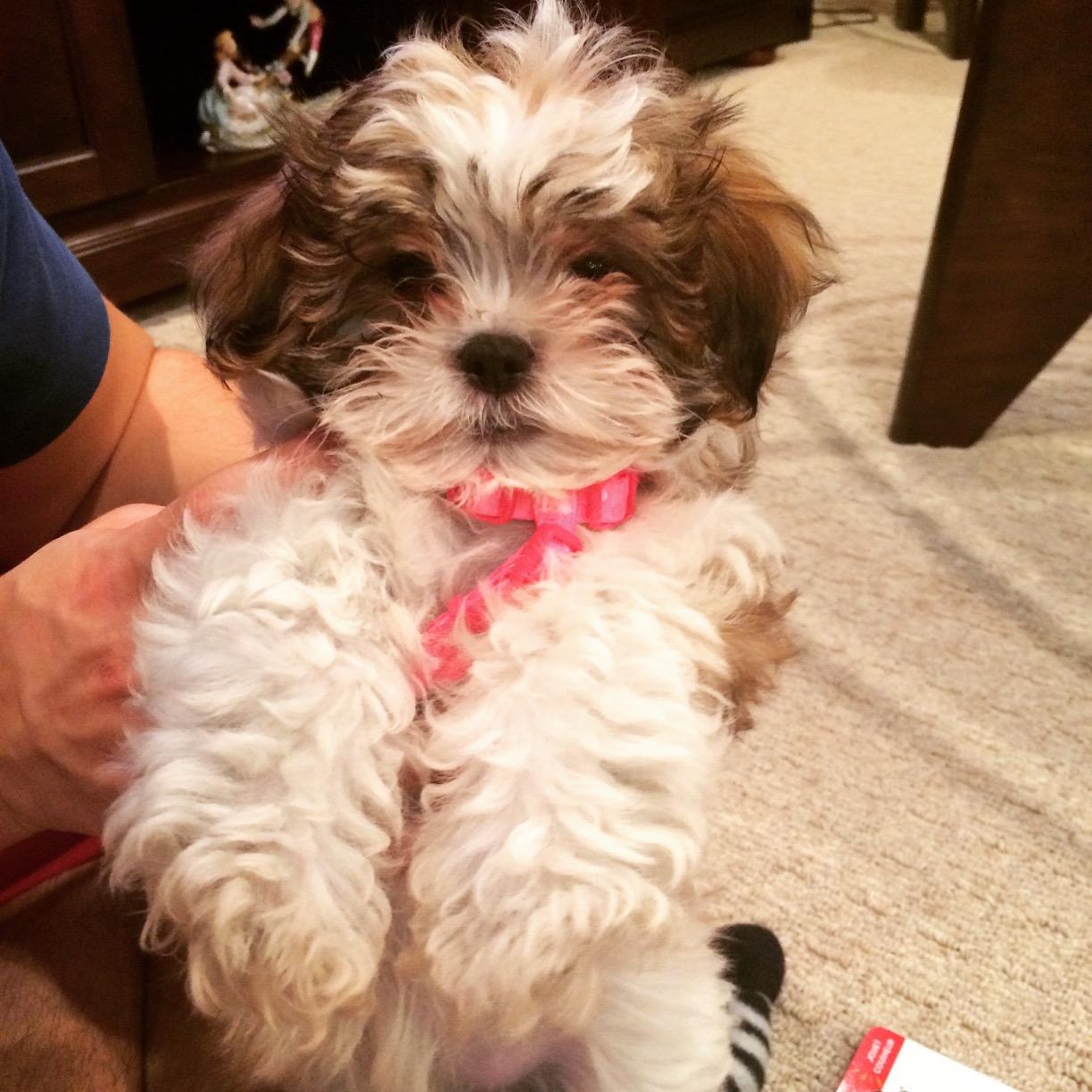 saraweitz11's profile picture. 