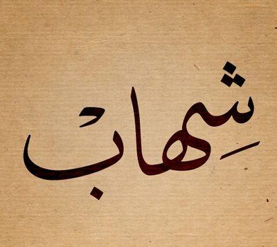 وللناس في ما يعشقون مذاهب