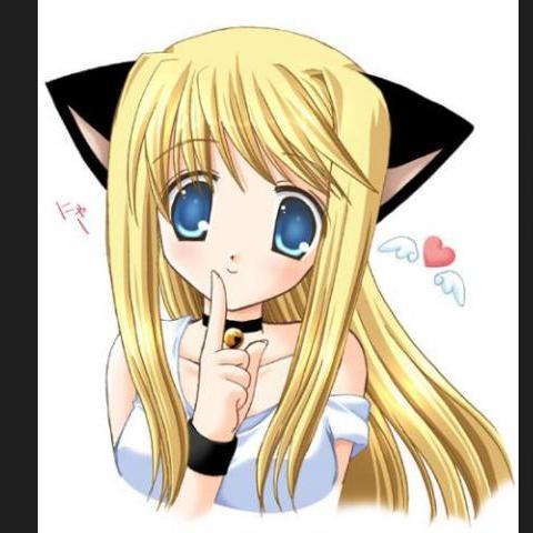 I Love Cats!  *CriaturitaDelSeñor*| I'am Patata Sexy :'3| My Best Frien Is Sabi `•~•` Señora De Luque! ❤