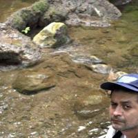 el guiller letona (@guiller_letona) 's Twitter Profile