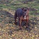 Karl Murray - @murray_karl - Twitter