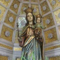 Boscopio's profile picture. 