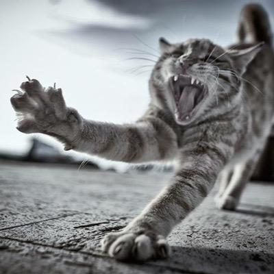 veronnika___'s profile picture. 