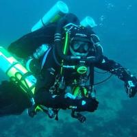 Wide Awake (@divercjl) 's Twitter Profile