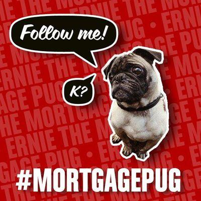 Hey I'm Ernie! also known as the #mortgagepug of Alex McFadyen, a Mortgage Advisor in the Vancouver Area Canada. I tweet about pugs & mortgages!