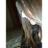 ReginaG0208's profile image