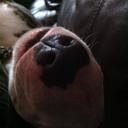 paul spackman - @sitespackman - Twitter