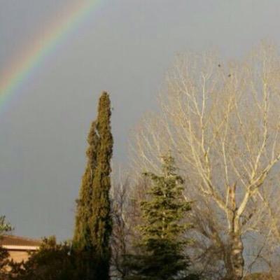 BetinaCastejn's profile picture. Primer Teniente Alcalde Ayuntamiento de Algete