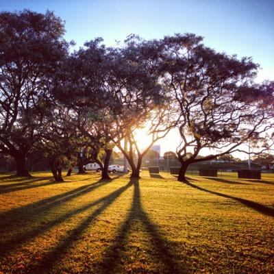 p__lowe's profile picture. 