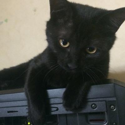 rhany_ypinks Profile Picture