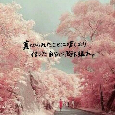 疲れた時、元気が無い時に思い出してほしい(pω･｡`q)
 私が励まされた言葉をお届けする感動ポエム集です♪
 心に響いたらRTしてください☆
 フォローも大歓迎です。よろしくお願いします゜･*