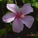 Claudia Gronau - @JaneBennett2015 - Twitter